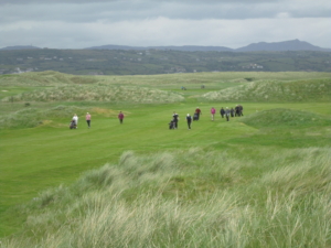 crowd watching the ulster_seniors_news_and_results