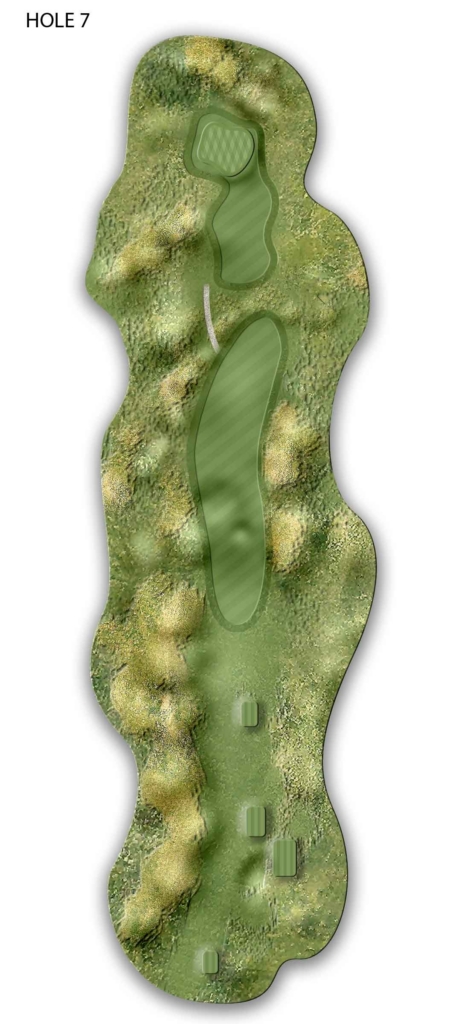 Hole 7 course map showing the tee at the bottom and green at the top